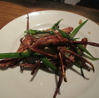 百家風鴨舌の炒め