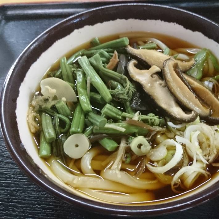 山菜うどん