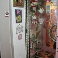 猫カフェ ねこのて