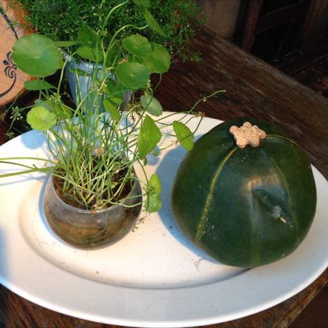 ラ・ベファーナ吉祥寺