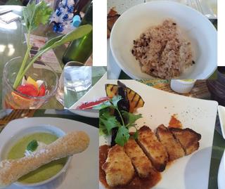 日替わりランチ　