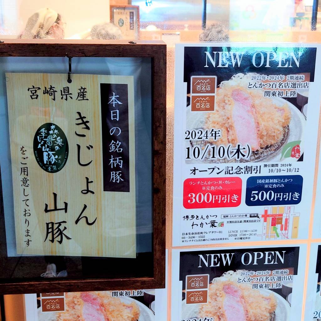 博多とんかつ わか葉 浜松町店