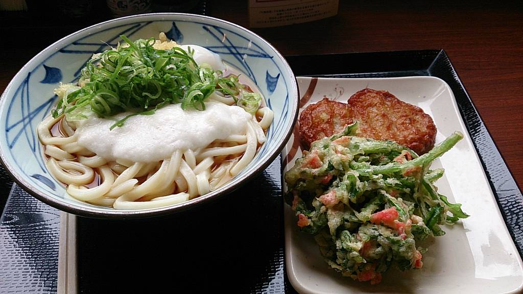 とろろ醤油うどん