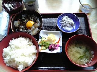 鯛丼