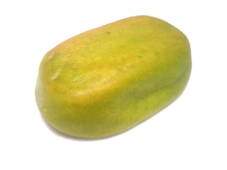 山の手乳菓　新茶