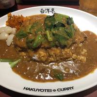 とんかつほうれん草カレー