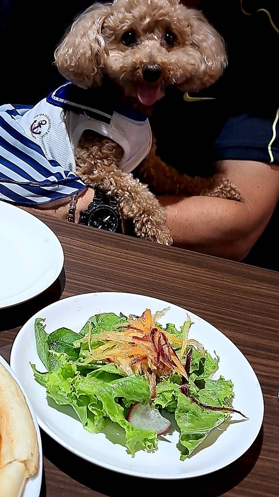 ランチのサラダ