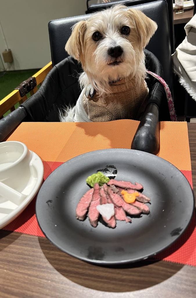 わんちゃんローストビーフ（ハーフ）