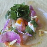 真鯛のカルパッチョ