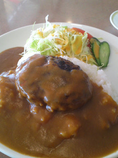 カルカッタ風ハンバーグカレー