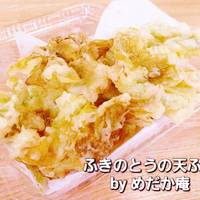 ふきのとうの天ぷら