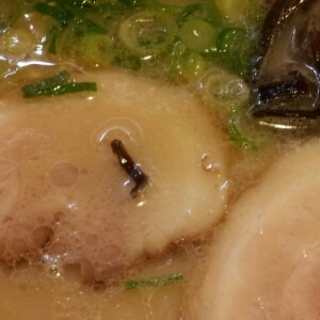 とんこつラーメン