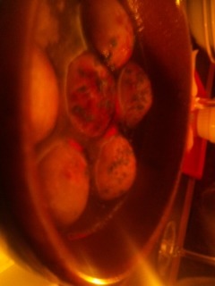 プリプリ海老とマッシュルームのアヒージョ