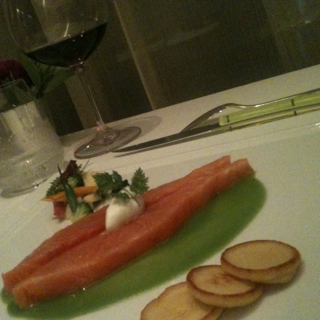 サーモン　ステラマリス