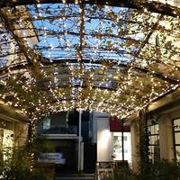 ＣＡＢＡＮＯＮ