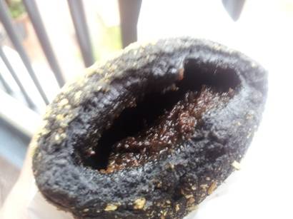 ブラックカレーパン