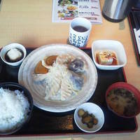 北海道産天然秋鮭と旬野菜の甘辛たれ定食