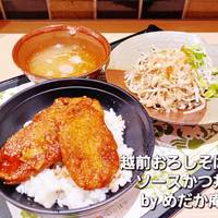 越前おろしそばとソースかつ丼