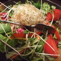 ごま豆腐と旬の１０種野菜サラダ