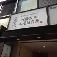 近畿大学水産研究所 銀座店