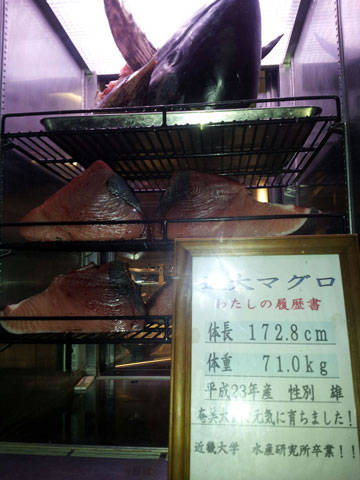 近畿大学水産研究所 銀座店