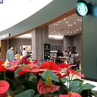 スターバックスコーヒー アリオ西新井店