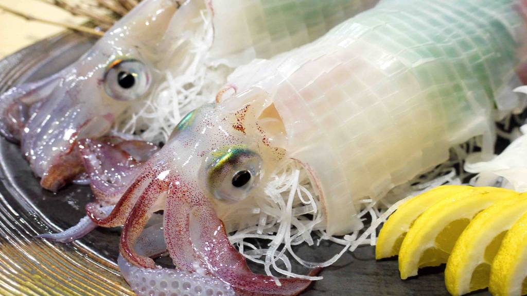 いかの活け造り