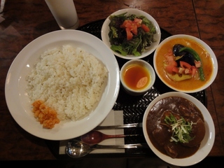 和風ポークカレー＆野菜カレー