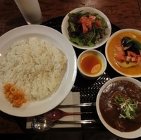 和風ポークカレー＆野菜カレー