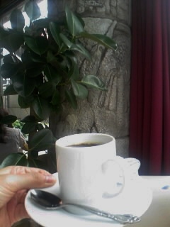 カジキマグロのブッタネスカビアンコ