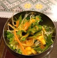 ナガルコットセット