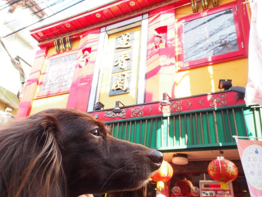 本格台湾料理 蓮香園 新館