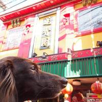 本格台湾料理 蓮香園 新館