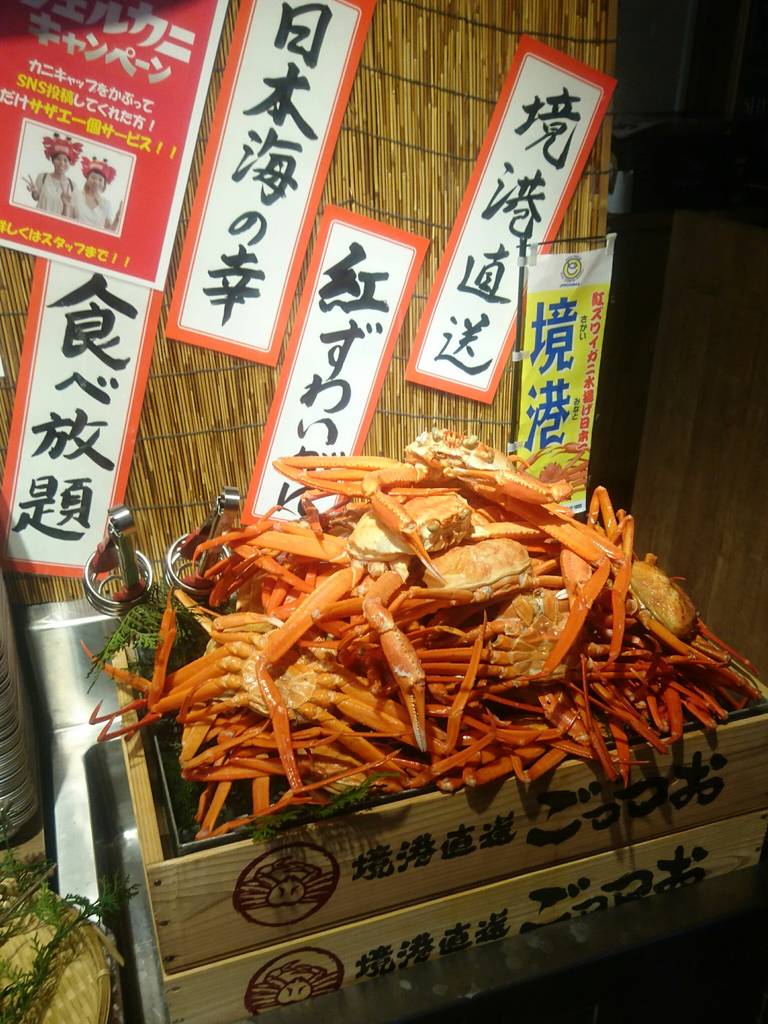 ごっつぉコース