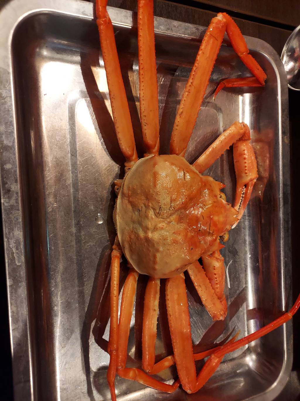 ごっつぉコース