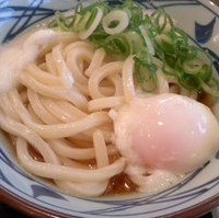 とろたまうどん