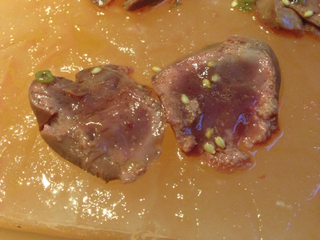 会津地鶏レバーのたたき　岩塩盛り