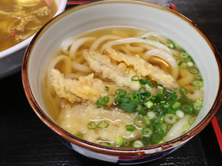 ごぼう天うどん