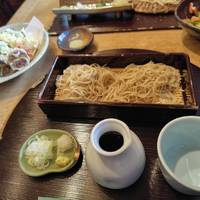 冷たいそばざるうどんおやき天ぷら盛りそば…