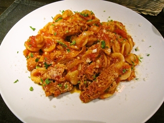 トリッパのトマトソース　オレキエッテ