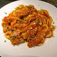 トリッパのトマトソース　オレキエッテ