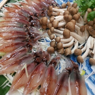 おまかせ料理（全５品）