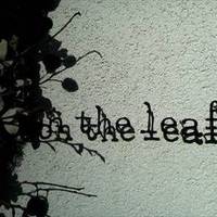 on the leaf