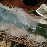 活ヤリイカ姿造り