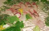 石巻産活〆白身魚のお刺身