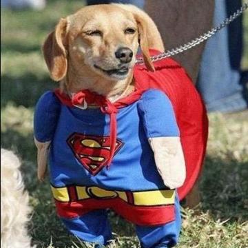 やくまんのすけ